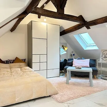 Lovely Rooftop Designed 200m To Panthéon Appartement