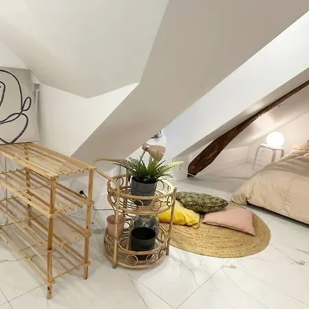 Lovely Rooftop Designed 200m To Pantheon N5-22 Paris